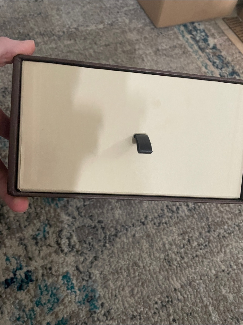 Louis Vuitton Brown and Cream Slide shoe Box leather pull tab